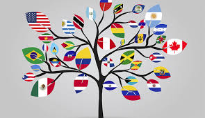 Festival of Cultures is this Wednesday!