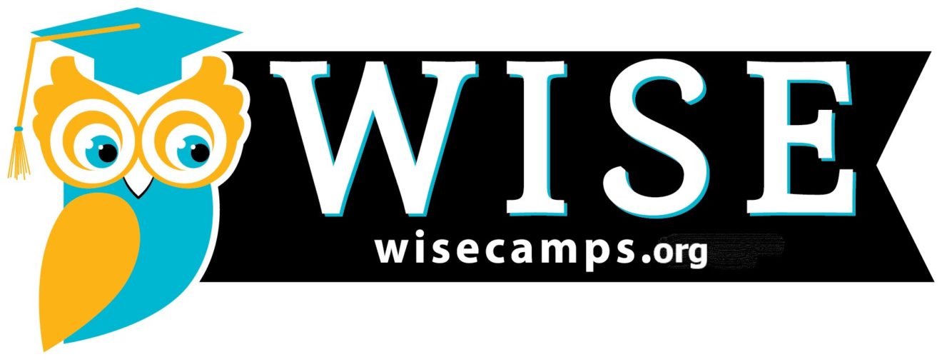 WISE Stem-themed Summer Camps