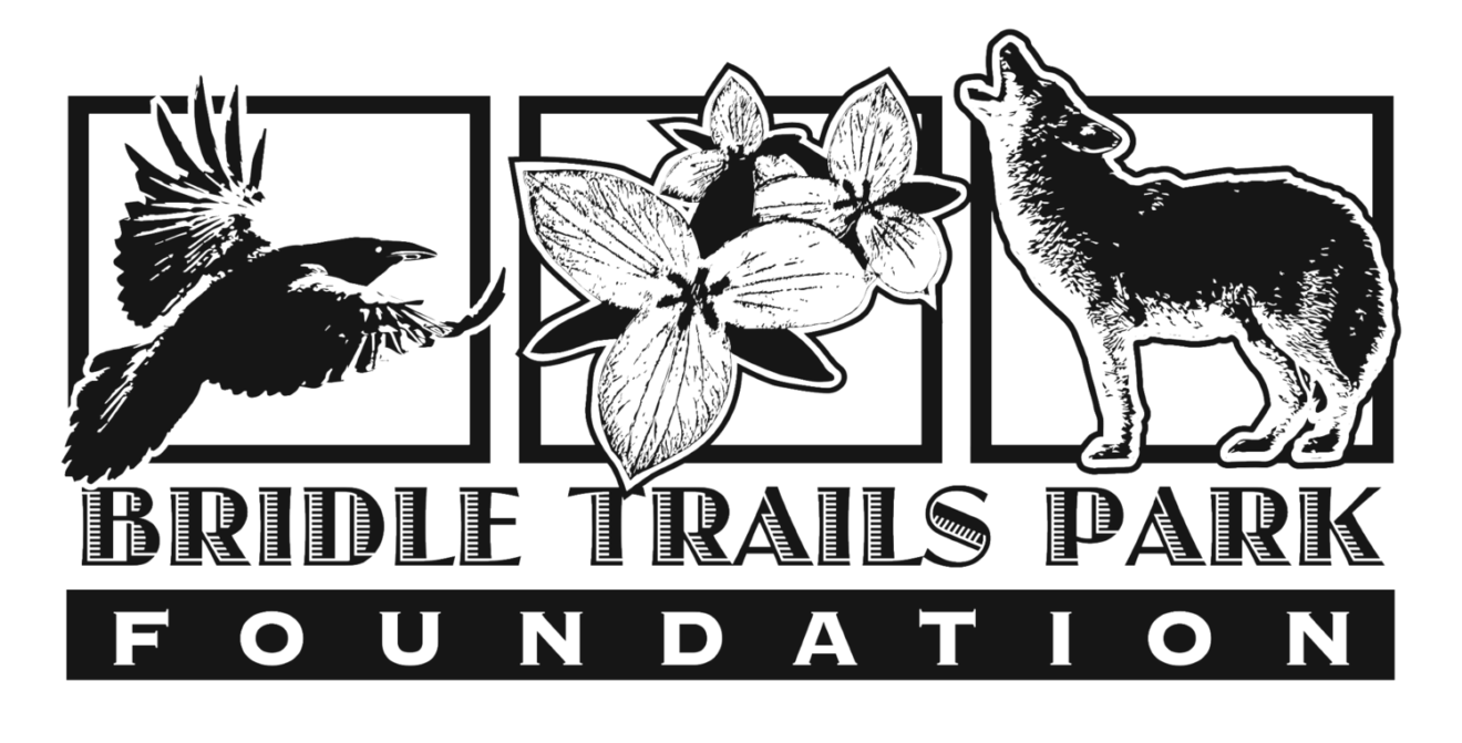 Bridle Trails Park Foundation Offering 1-Week Forest Summer Camp