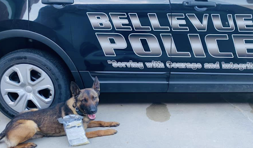 bellevue police