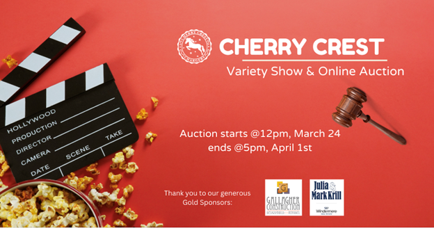 variety show and auction