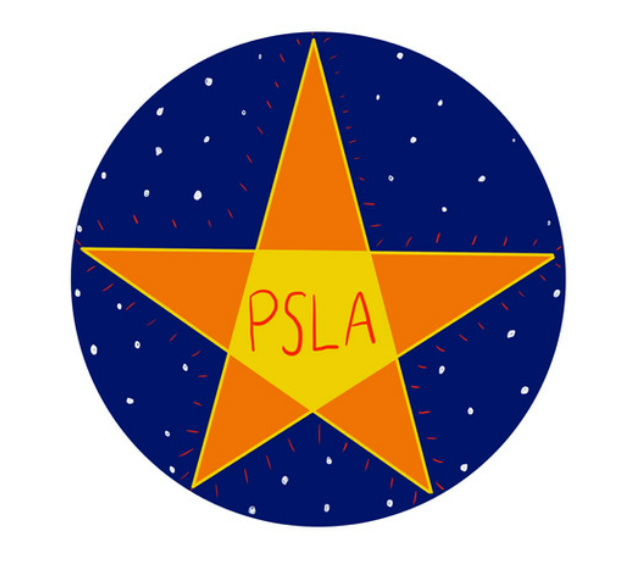 Summer Camp for Cherry Crest Students-Pop Star Learning Academy